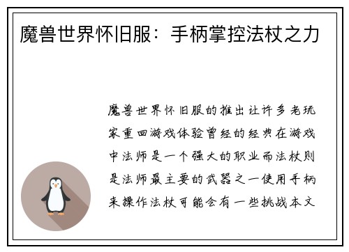 魔兽世界怀旧服：手柄掌控法杖之力