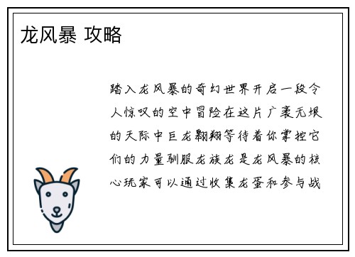 龙风暴 攻略